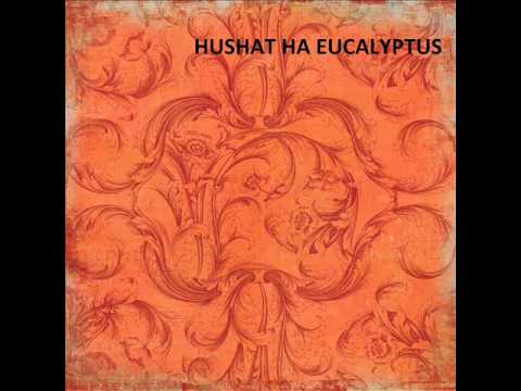 Vidéo: Eucalyptus Royal