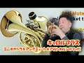 【キャロルブラス】ミニポケトラ＆アンチミュート＆アルトホルンのマッピ