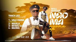 03 - Will Maga's - Nitaku Gwaza ft Damix (audio oficial)