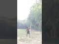 #javelinthrow #shortsfeed #youtube #public #shorts👍👍👍