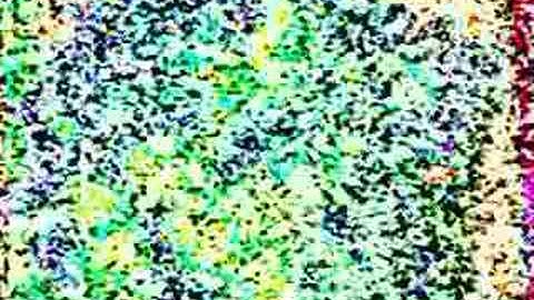 somatic responses - androstyle music video