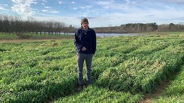 Oat Food Plot Preference Studies for Deer (Year Two)