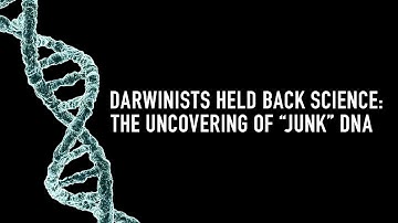Darwinists Held Back Science: The Uncovering of “Junk” DNA | Subboor Ahmad