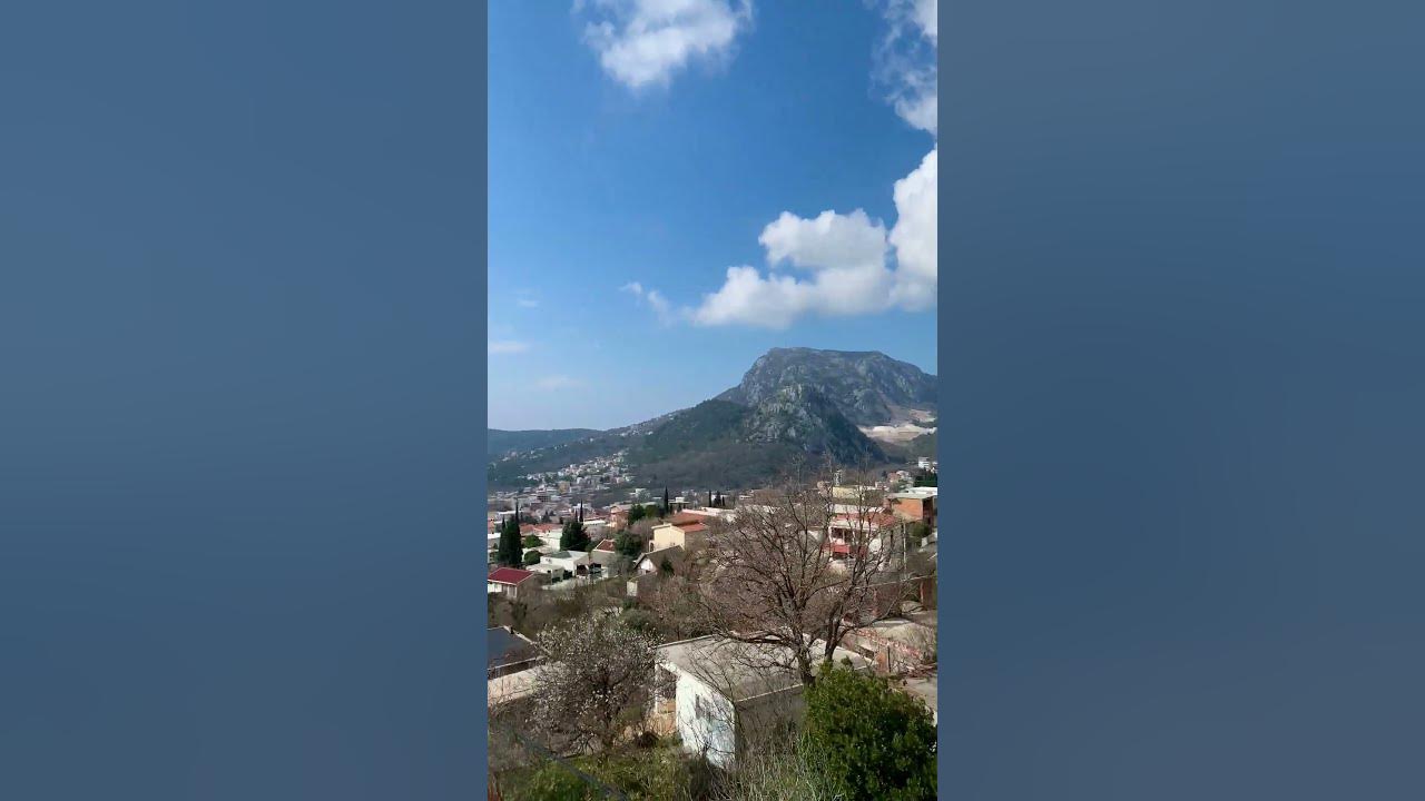 Агентство недвижимости в Черногории