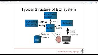 A quick intro to the Buffer BCI toolbox screenshot 1