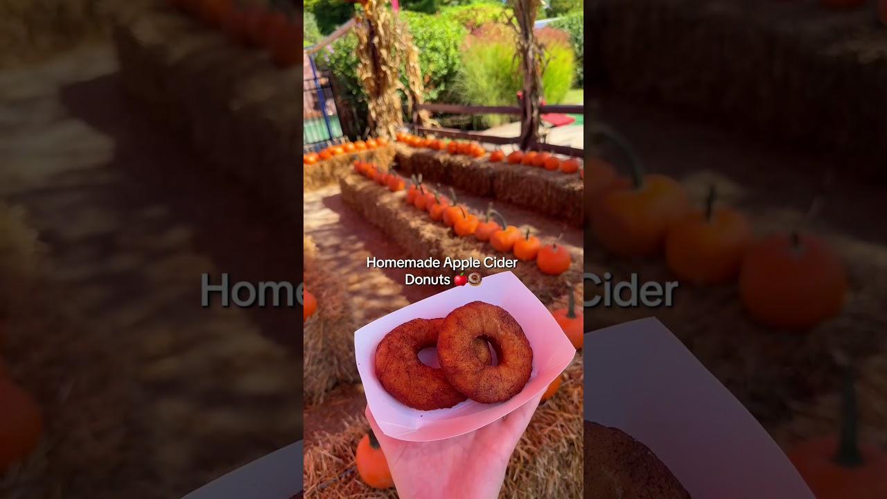 Funtober Fall Treats You NEED to Try 🍁