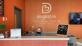 Dogtopia Pickering Tour