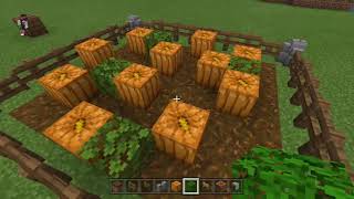 Minecraft: how to make a small pumpkin patch