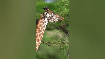 12 Nguyên tắc không được quên khi vợ chồng cãi nhau #xuhuong #hottrend #suyngam #xh #fypシ #phat