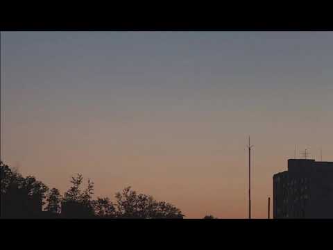 ヤングアダルト / マカロニえんぴつ 弾き語り cover sui。
