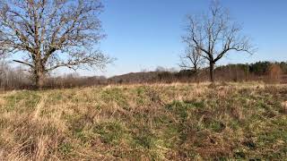 Future subdivision