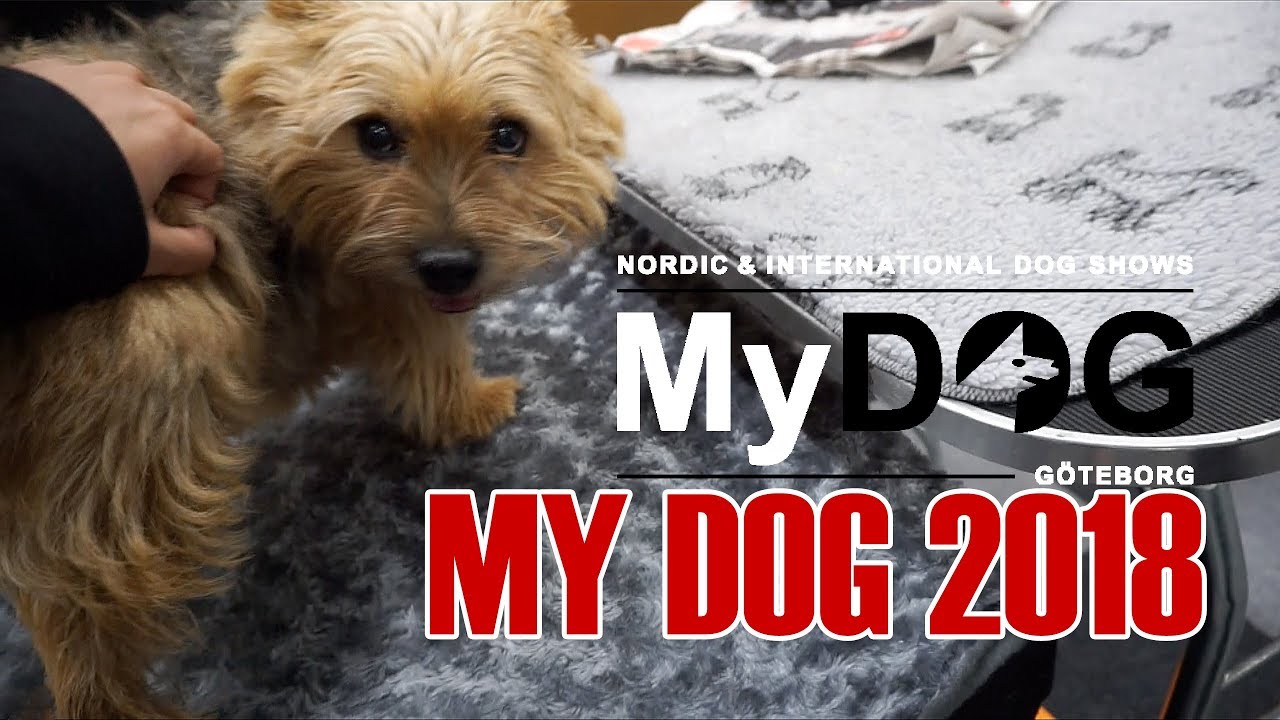 MY DOG 2018 & Träffar våran uppfödare 🐶🐾