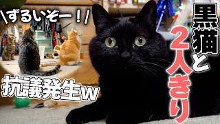When I was alone with my family's idol, a black cat, all the cats