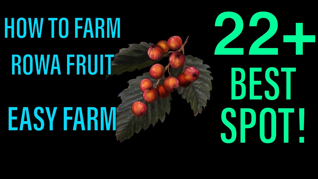 How To Farm Rowa Fruit EASY FARM Elden Ring YouTube