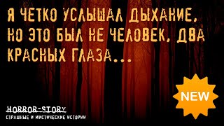 Страшные истории | Я четко услышал дыхание, но это был не человек, два красных глаза...