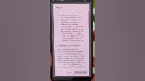 Pixel 6a Android 13 Beta! #android13 #pixel6a #shorts