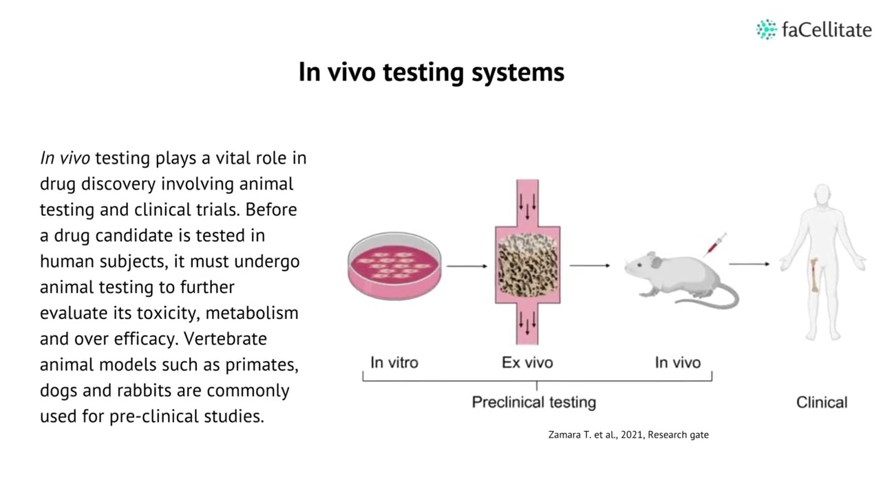 What is an In Vivo Test?