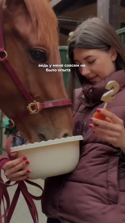 Моя душа♥️ #equestrian #лошади #мерин #лошадимояжизнь - YouTube