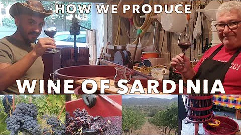 How we make Wine in Sardinia  The delicious Cannonau, Italian Wine of Sardinia.