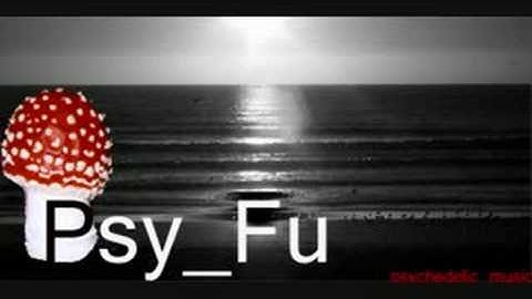 Psy_fu - Error