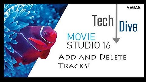 Movie Studio 16 Platinum: How to Add and Delete Tracks