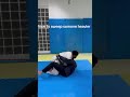 #bjj #bjjshorts #jiujitsu #jujitsu #bjjtechnique