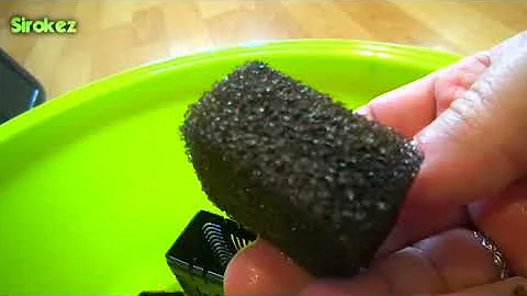 Радужный краб. Содержание и кормление