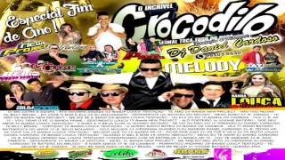 ♬ CD CROCODILO MELODY 2016 VOL 14 ♬