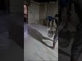 طبقه جبس حمايه للسيراميك