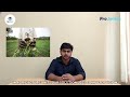 Affordable Smart Groundnut Processing Machine for Farmers & SMEs | Startup Pitch
