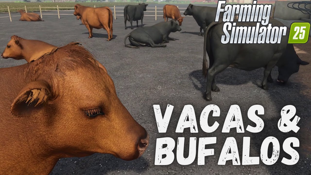 Todo sobre Vacas y Búfalos de Agua en FS25: Guía de Vaquerizas, Compra, Alimentación y Producción