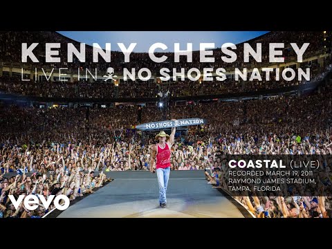 Video: Kenny Chesney čistá hodnota