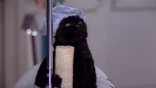 Salem Bathtub