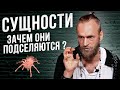 Как они выглядят и зачем подселяются? Астральные сущности, бесы, лярвы, подселенцы