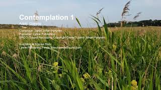 Contemplation 1 - Giannis (Lynne Publishing) | Royalty Free Music from Shockwave-Sound