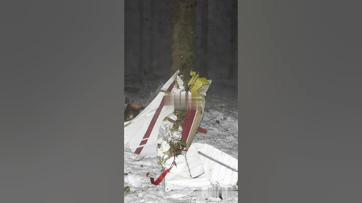 She Fell 10,000 Meters… and Lived! The Vesna Vulović Miracle #chorts