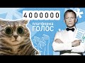 Платформа ГОЛОС: Соберем 4 000 000 голосов за 7 дней! | Выборы в Беларуси 2020