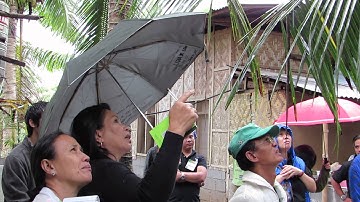 Controlled Pollination Part 3