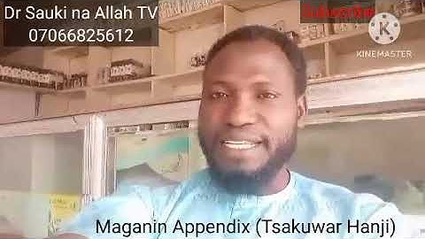 MAGANIN  APPENDIX (Tsakuwar koda).