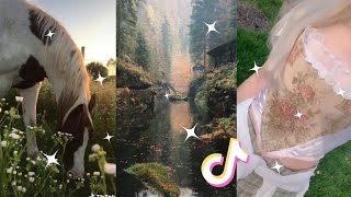 Cottagecore and Goblincore 🦋🍄 Tiktok Compilation