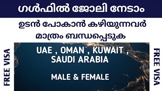 Gulf Jobs Malayalam 2024|Job Vacancy in Saudi Arabia|Oman jobs Malayalam|Jobs in Kuwait|Uae jobs