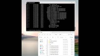 What is command line interface  and why do we need it | CMD | Powershell | Terminal | Bash
