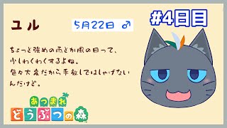 【あつまれ どうぶつの森】妖精無人島魔法4日目【ユル・バウム】