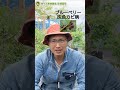 ブルーベリー灰色カビ病がピンクレモネードに多い理由