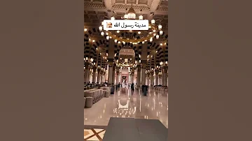 افتحي بابك يامدينه 