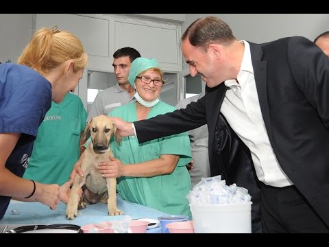 28.07.15. დავით ნარმანია ცხოველთა მუნიციპალურ თავშესაფარში