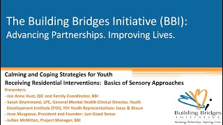 Calming and Coping Strategies for Youth Rec. Residential Interventions: Basics of Sensory Approaches
