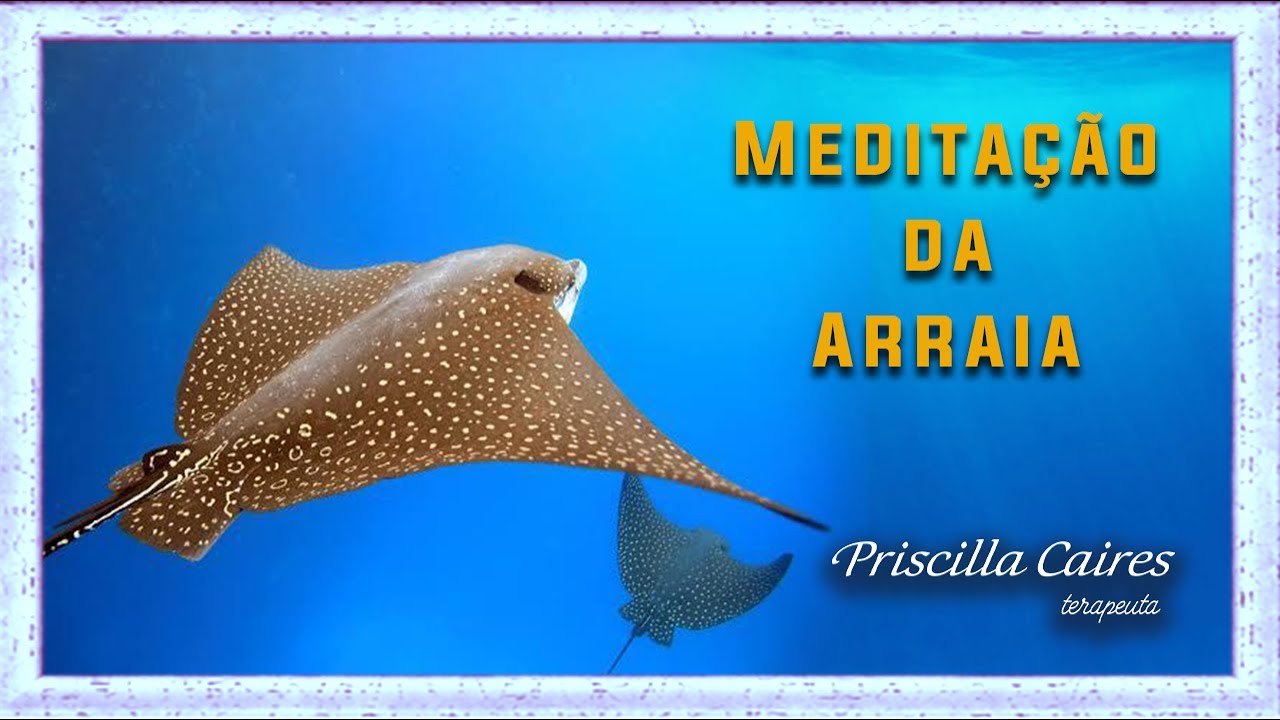 Meditação da Arraia YouTube Meditação da Arraia YouTube