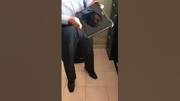 Prueba Tablet Blue Bird