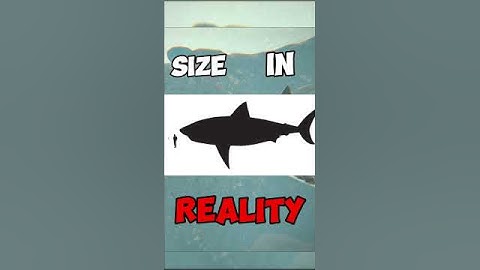 ARK Dino COMPARED TO REAL Dinosaur | MEGALODON |#vs #viral #ark #pvp #dinosaur #edit #foryou #fyp #a